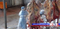Махны экспортыг 5 дахин нэмэгдүүлсэн ч ДНБ-д өсөлт гарахгүй