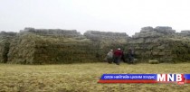 Сүхбаатар аймгийн өвөлжилтийн бэлтгэл 80 гаруй хувьтай байна 