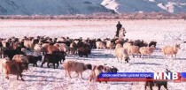 Отрын бүсэд бэлчээрийн даац хэтэрчээ