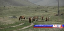 Прагийн амьтны хүрээлэнгээс тусгай зориулалтын машин бэлэглэв