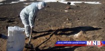 Нөхөн сэргээлт хийгээгүйгээс болж малын өвчин ихээр гарах болсон гэв
