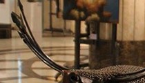М.Мөнхзул бие даасан анхны үзэсгэлэнгээ “Эрч” хэмээн нэрийдэв