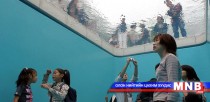 “Хуурамч” усан бассейн