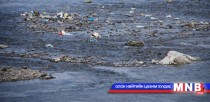 Туул голын савд хайрга олборлох 60 гаруй тусгай зөвшөөрөл байна 