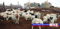 Мал төллөлт оройтож эхлэх төлөвтэй байна 