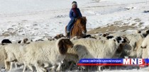 332 сая төгрөгийн тусламжийг малчдад хүргэжээ 