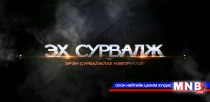 Хулгайн сүлжээ