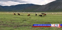 Бэлчээрийн даац хоёр дахин хэтэрчээ