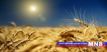 Улаан буудайн даатгалыг энэ хавраас хэрэгжүүлнэ