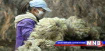 Ноосны урамшууллыг ирэх сард олгоно