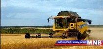 Аж ахуйн нэгж, иргэнд мөнгөн урамшуулал олгоно