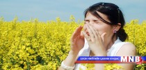 Шарилжны харшлын эсрэг вакцин хийж байна
