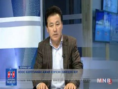 Ноос бэлтгэлийн ажил хэрхэн хийгдэх вэ?