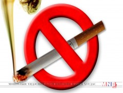 20 эмэгтэй тутмын нэг нь тамхи татдаг