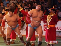 Хоёр арслан түрүү булаалдав