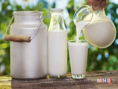 Манай улс “Дэлхийн сүүний өдөр”-ийг анх удаа тэмдэглэж байна
