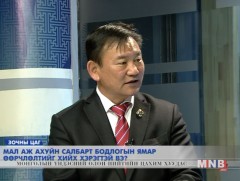 Мал аж ахуйн салбарт бодлогын ямар өөрчлөлт хийх хэрэгтэй вэ