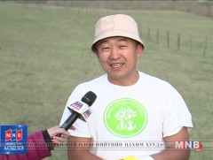 Баянзүрх хайрханд 4000 мод суулгахаар төлөвлөж байна
