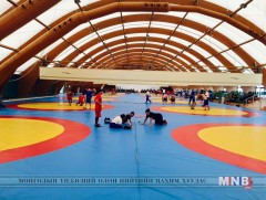 Германы эмэгтэй чөлөөт бөхийн гран при тэмцээн боллоо