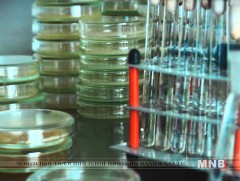 Монгол эрдэмтэд байгалийн гаралтай эм, бэлдмэл үйлдвэрлэж байна