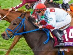 Д.Ганбаатарын 