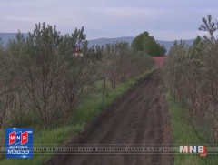 Агро сургалт хоршоонынхон 20 гаруй төрлийн мод, 30 гаруй төрлийн хүнсний ногоо тариалж байна 