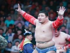 Улсын заан Ч.Санжаадамба тэргүүтэй 300 орчим бөх бүртгүүлээд байна