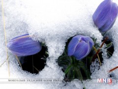 Яргуй нүдлэх цагаар 