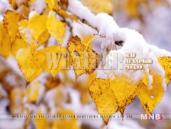 СЭРЭМЖЛҮҮЛЭГ: Өнөөдөр Хэнтий, Дорнод, Сүхбаатарын нутгаар цасан шуурга шуурна