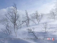 Цас орж, цасан шуурга шуурч байна