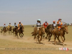 “Хэрлэнгийн хурд-2017” даага, шүдлэнгийн уралдаан болно
