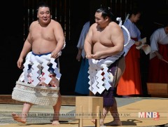 Д.Бямбадорж, М.Ананд нар бэртлийн улмаас тэмцээнээ орхилоо