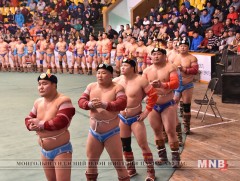 Ардчилсан шинэ Үндсэн хууль батлагдсаны ойн нэрэмжит хүчит бөхийн барилдаан болно