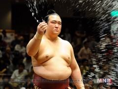 Япон бөхчүүдээс 29 жилийн дараа ёкозүна цолтон төрлөө 