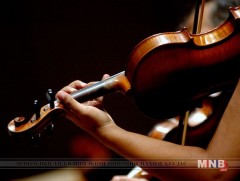 Хийлийн увидас