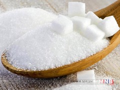 Эрдэмтэд элсэн чихрийн хэрэглээгээ багасгахыг зөвлөж байна 