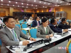 УИХ-ын гишүүд ОУПХ-ны Байнгын хорооны чуулган, салбар хуралдаануудад оролцов