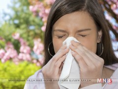 Ургамлын тоосны үед ямар арга хэмжээ авах вэ 