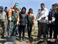 УИХ-ын дарга М.Энхболд Үндэсний цэцэрлэгт хүрээлэнд мод тарив