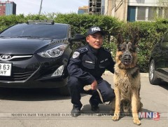 Хурдан удмын морь хулгайд алдагдсан хэргийг шуурхай илрүүлжээ