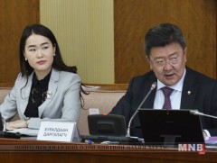Төрийн албаны шинэчлэлийн тухай хоёр хуулийн төслийн үзэл баримтлалыг хэлэлцэхээр болов