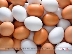 Шувууны гаралтай бүтээгдэхүүнийг хүнсэнд хэрэглэх зөвлөмж 