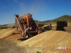 Улсын хэмжээнд ургац хураалт 30 хувьтай байна