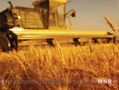 Цаг агаарын нөхцөл байдлаас үүдэн ургац хураалт удааширч байна