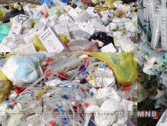 Аюултай хог хаягдлыг устгахад зориулсан журам гаргах шаардлагатай