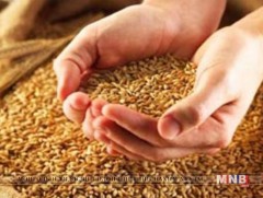 Цавуулаг чанараас нь хамаарч тонн улаанбуудайн үнийг 530-560 мянган төгрөг байхаар тогтоожээ   