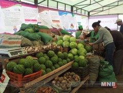 “Намрын ногоон өдрүүд” үзэсгэлэн худалдааны эхний өдөр 200 сая төгрөгийн борлуулалт хийжээ