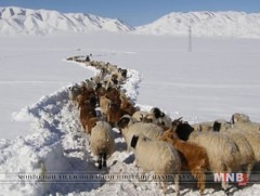 Гарч болзошгүй эрсдлийг эрт тооцоолсноор хохирол багатай даван туулах боломжтой
