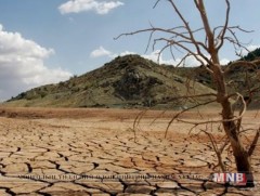 Цөлжилттэй тэмцэх ажил хүн бүрийн оролцоог шаардаж байна