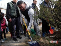 Монгол Улсын Ерөнхийлөгч Х.Баттулга төрөлх сургуулийнхаа гадаа талбайд мод тарив